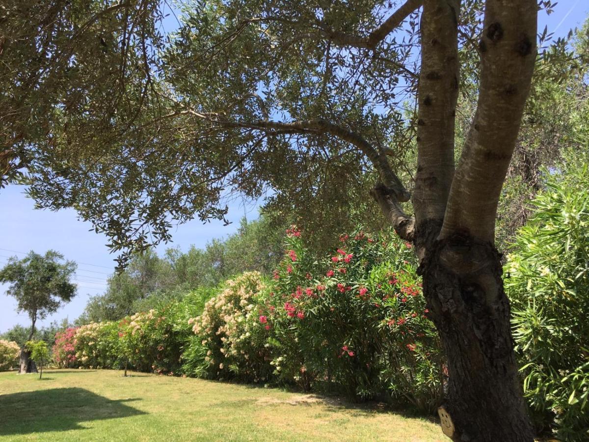 Villa Gecko, Arillas Kavvadades 外观 照片