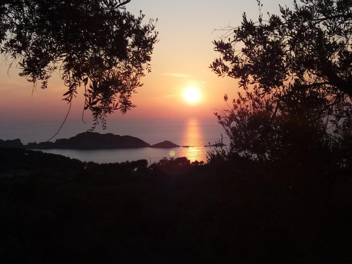 Villa Gecko, Arillas Kavvadades 外观 照片