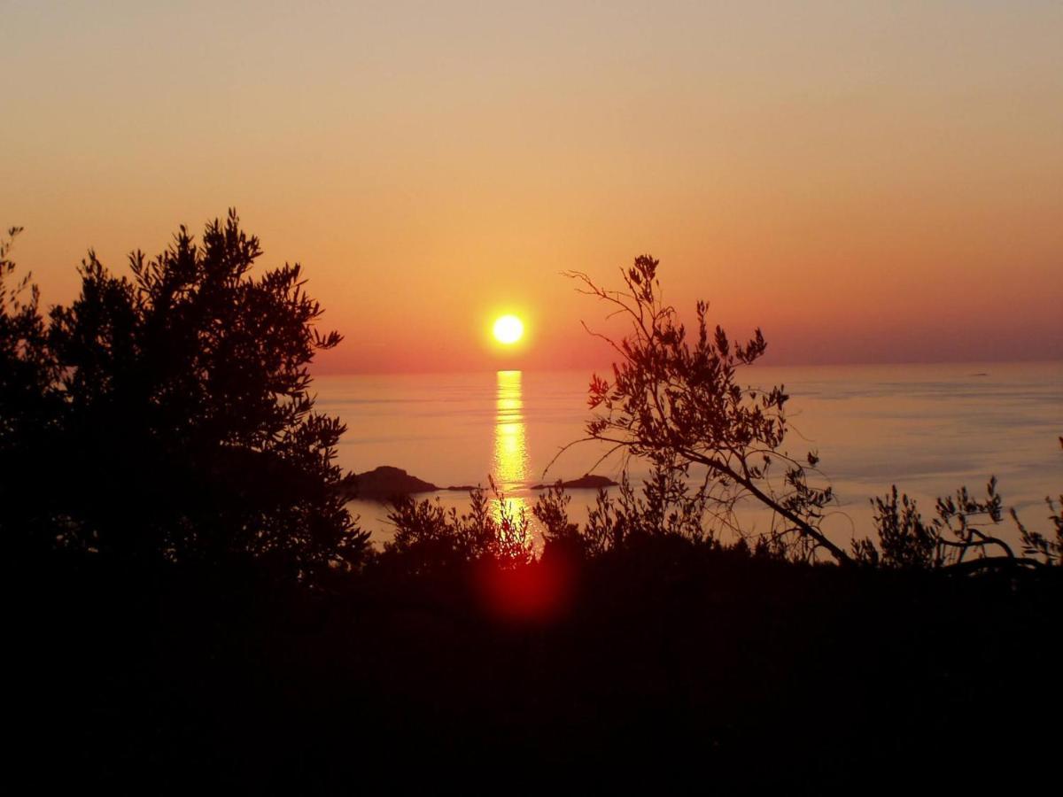 Villa Gecko, Arillas Kavvadades 外观 照片
