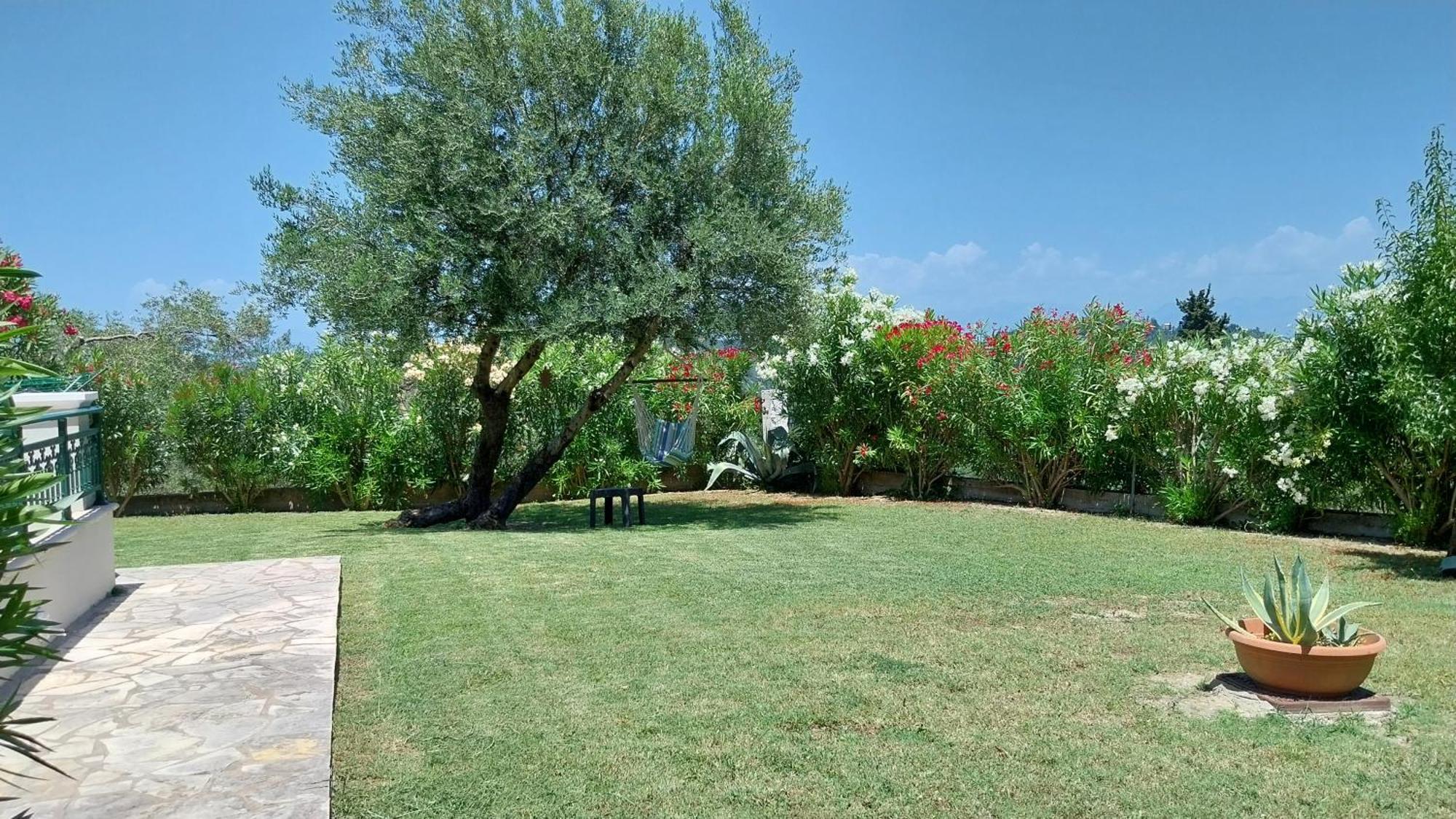 Villa Gecko, Arillas Kavvadades 外观 照片