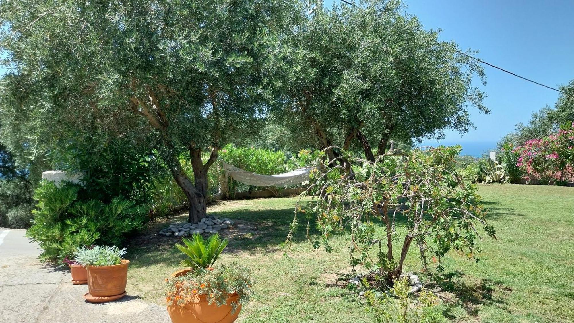 Villa Gecko, Arillas Kavvadades 外观 照片